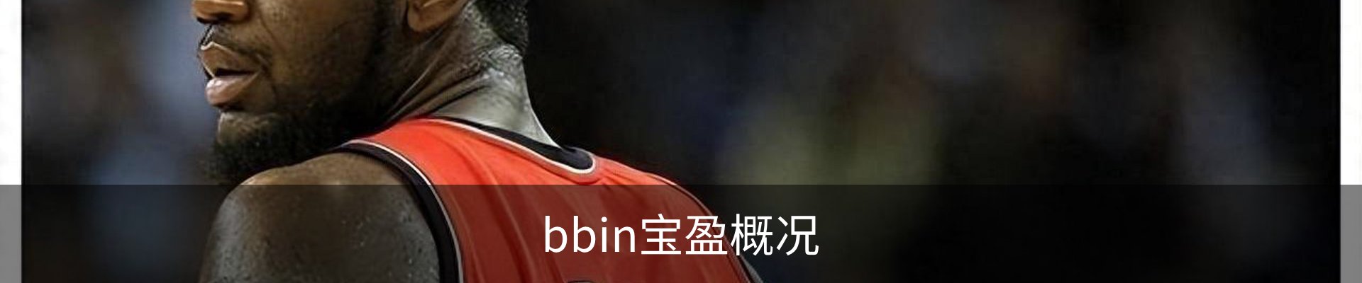 bbin宝盈概况
